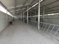 Szopa gotowa Szopa gotowa