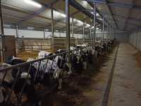 Podano do stołu Podano do stołu