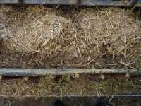 TMR dla cielat TMR dla cielat