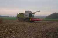 Claas Lexion 750 Helmut +capello