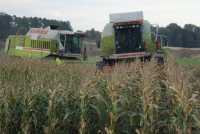 Claas dominator Maxi 118 + Domminator 108 classic