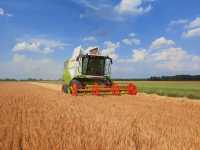 Tucano 320 Tucano 320