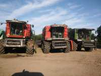 MF-Y i FENDT MF-Y i FENDT