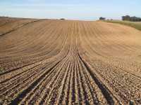 Kws kosmos Kws kosmos