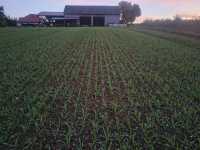 Kws kosmos Kws kosmos