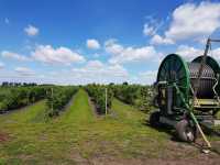 Malina Glen Malina Glen