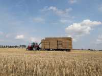 Massey Ferguson 5455 + Orthaus