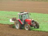 Massey Ferguson 3095 i Agro Masz