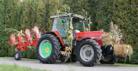 Massey Ferguson 3080 + pług obrotowy