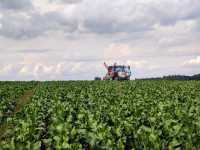 Steyr 4125 Profi Steyr 4125 Profi