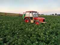 Zetor 5748 Zetor 5748