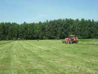 Zetor 7211 & Agromet & Zetor Proxima 85 & Metal-Fach Z-562