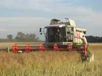 Claas Lexion 450