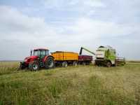 Zetor Forterra 115 + Wielton + Zasław & Dominator 112 CS